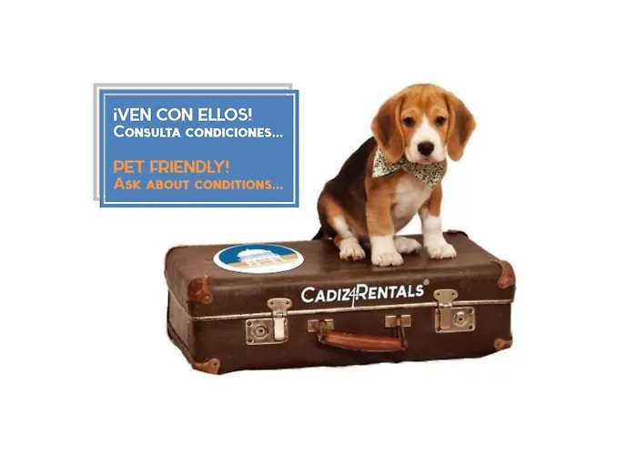 Atico-solarium Hall By Cadiz4rentals * Cadiz